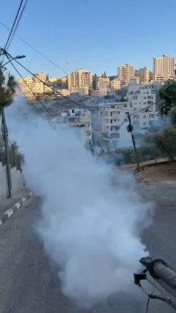نحو بيئة صحية وآمنة في مدينة بيت جالا.